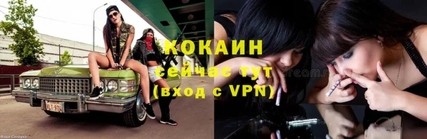 бошки Бронницы
