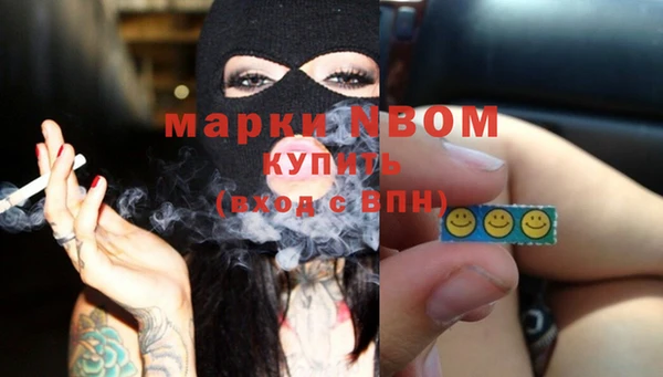 бошки Бородино