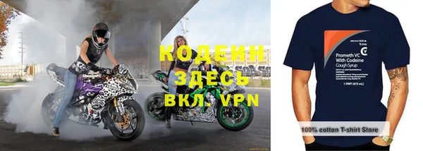 бошки Бородино