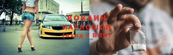 стаф Богородск