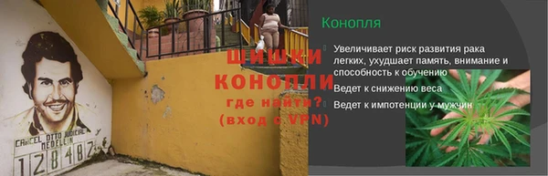 бошки Бородино