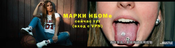 кокс Богородицк