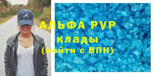 стаф Богородск