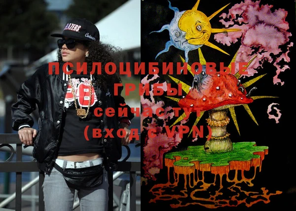 бошки Бронницы