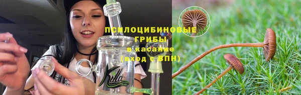 бошки Бородино